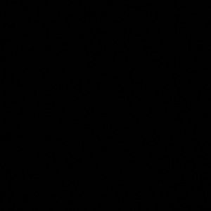 Meet your Posher, Jaylyn